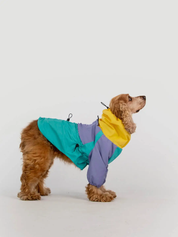 Imperméable pour chien - Rétro