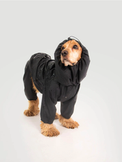 Imperméable pour chien - Noir