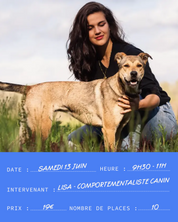 Atelier #14 : Comprendre la solitude chez le chien - 13.06.2026