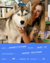 Atelier #16 : Apprendre à toiletter son chien - 17.10.2026