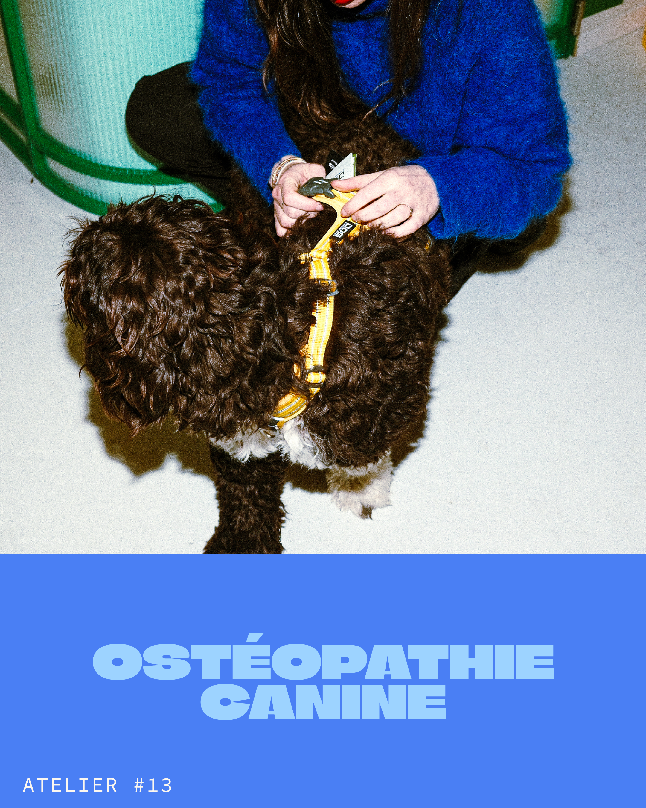 Atelier #13 : Ostéopathie canine - 23.05.2026