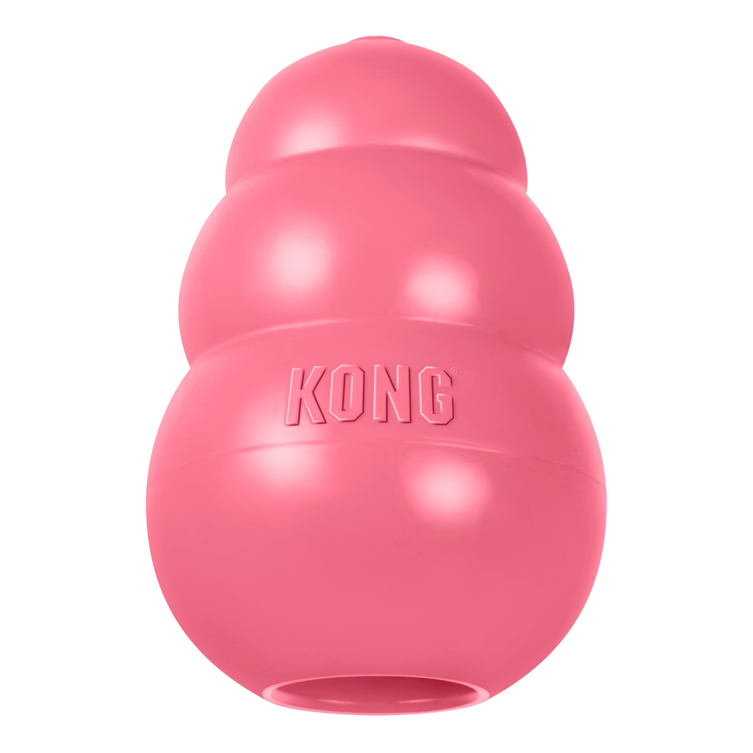 KongPuppy-rose.jpg