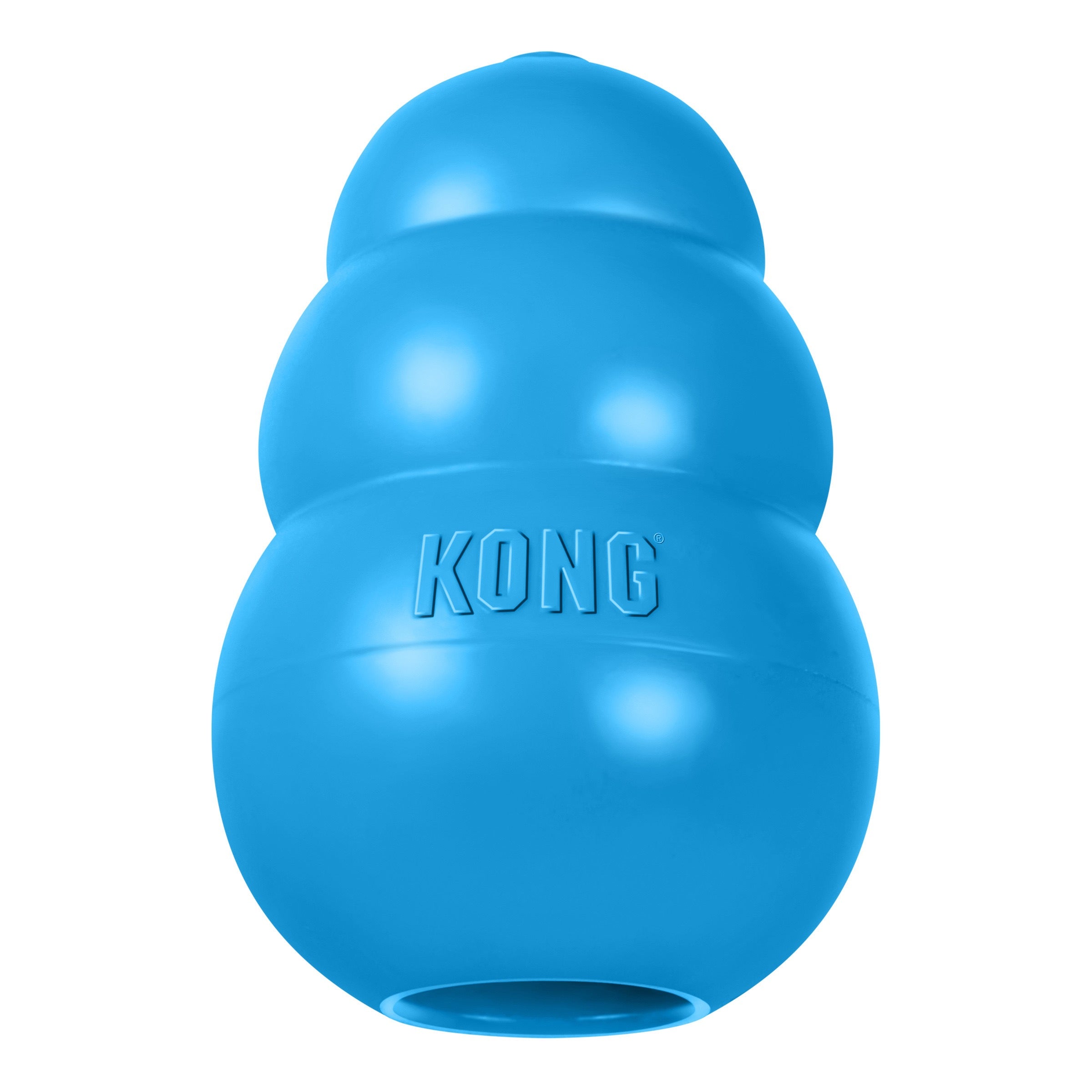Kong_Puppy.jpg