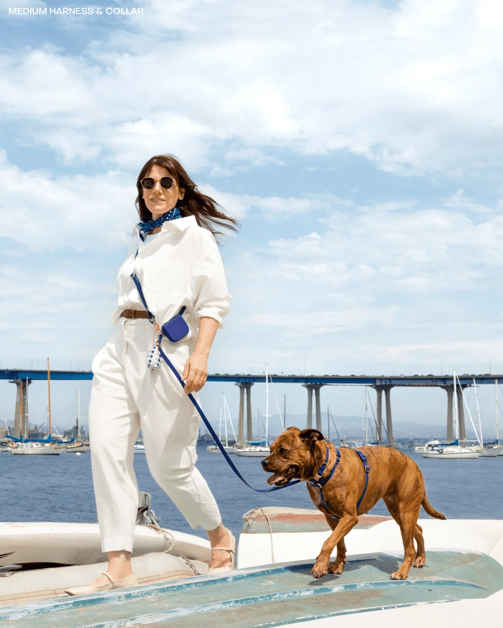 Laisse4-en-1mainslibreswaterproof-Bleumarine2.webp