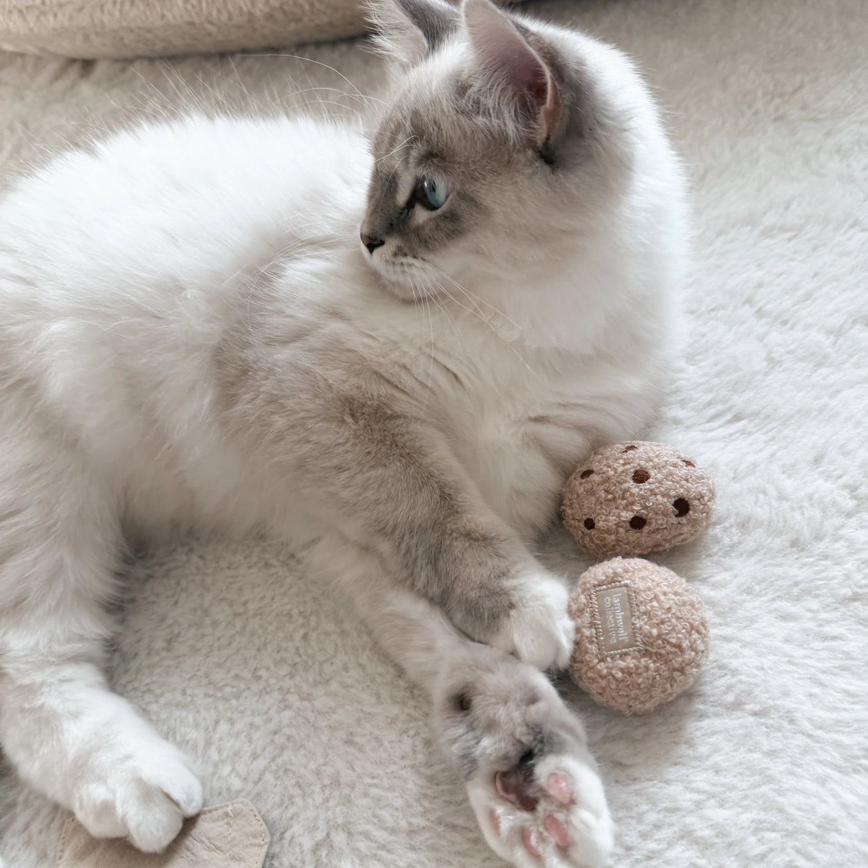 Jouet pour chat - Les cookies