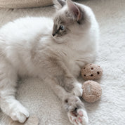 Jouet pour chat - Les cookies