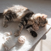 Jouet pour chat - Les cookies