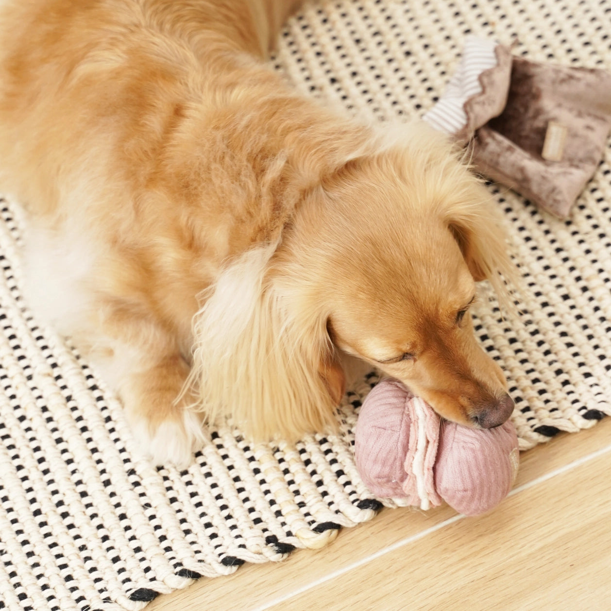 Jouet de fouille - Les patisseries