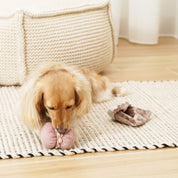 Jouet de fouille - Les patisseries