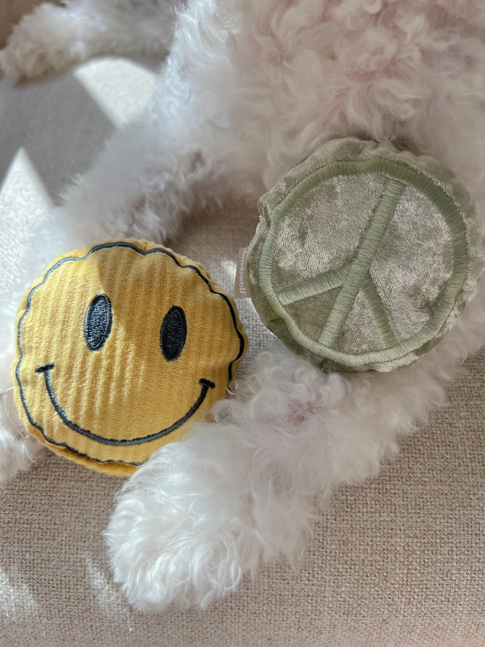 Jouet de fouille - Les rollers