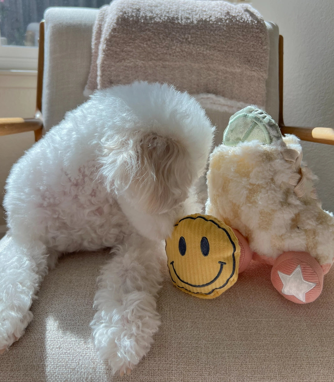 Jouet de fouille - Les rollers