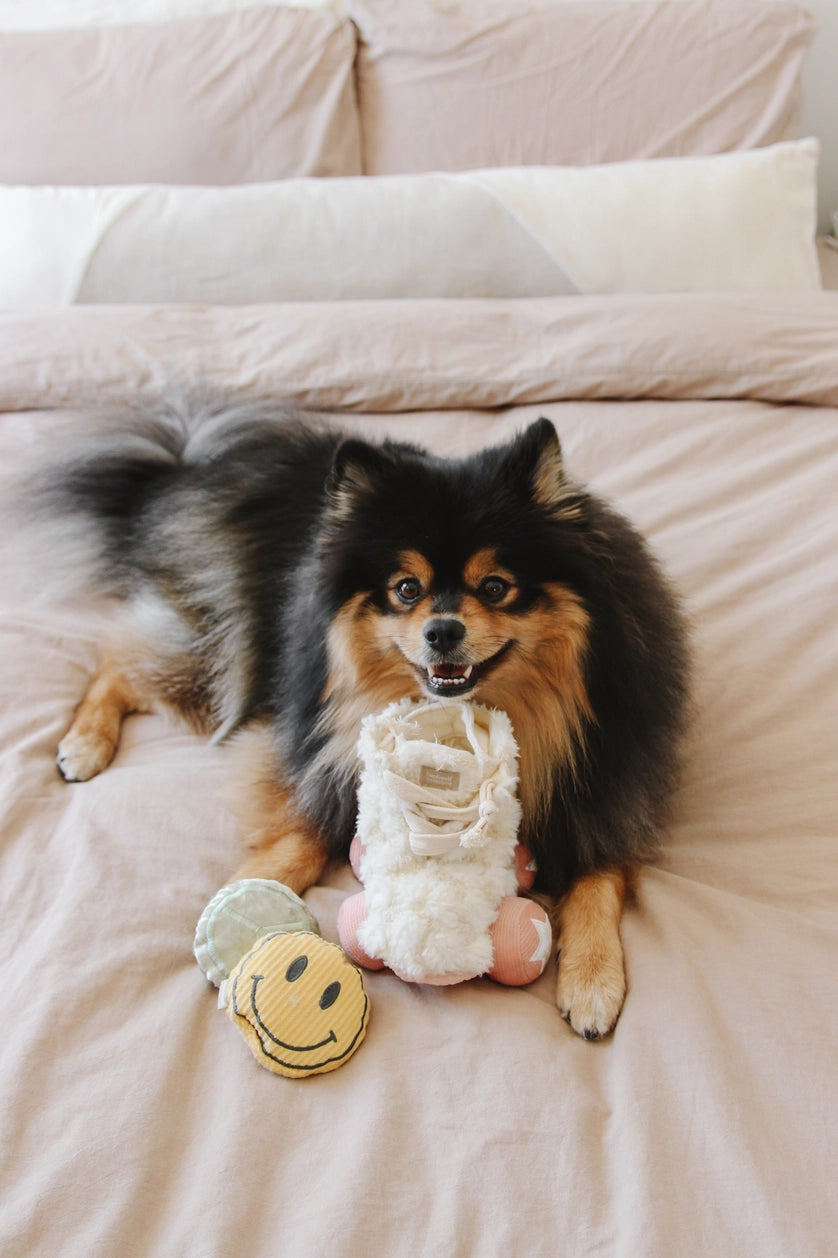 Jouet de fouille - Les rollers