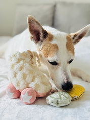 Jouet de fouille - Les rollers