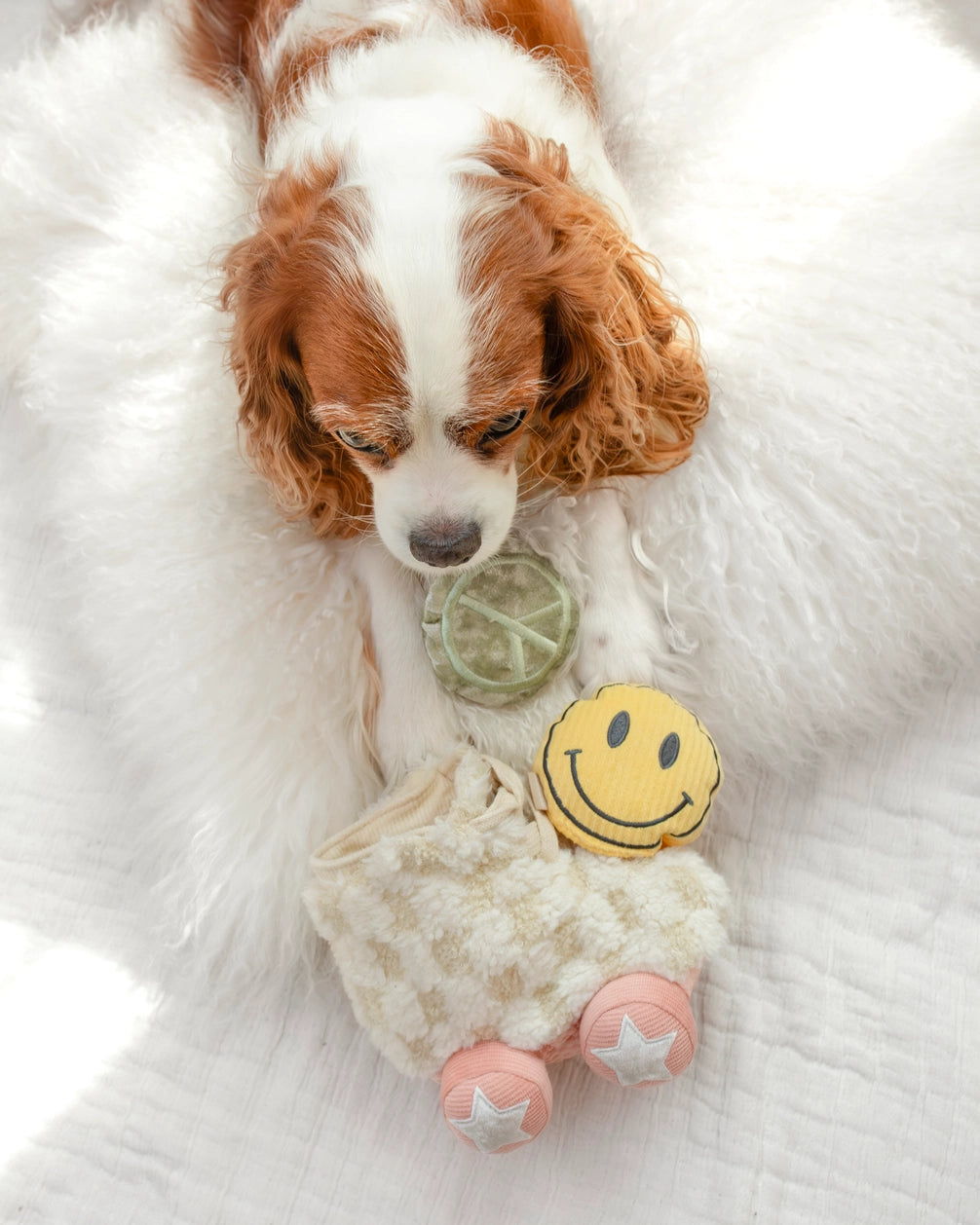 Jouet de fouille - Les rollers