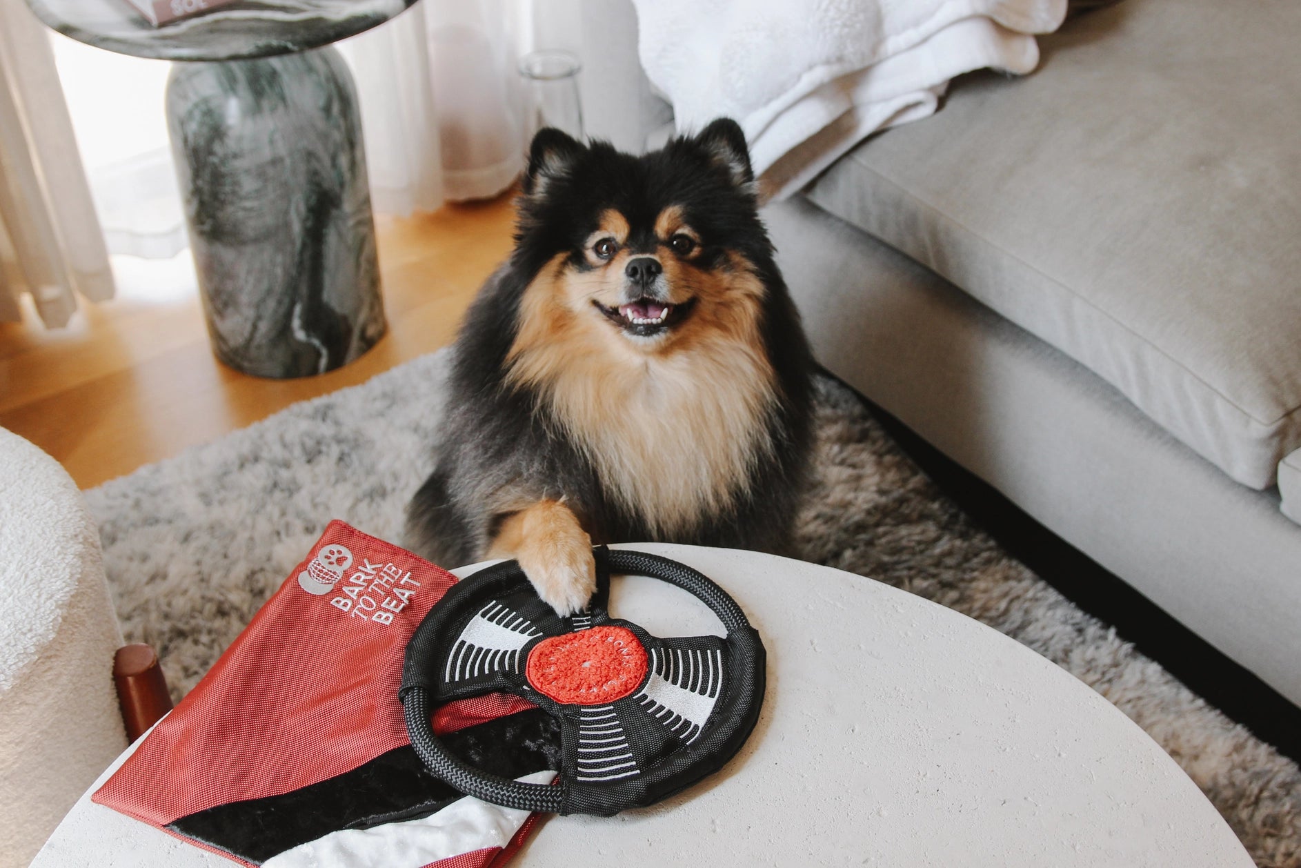 Jouet de fouille - Le vinyle