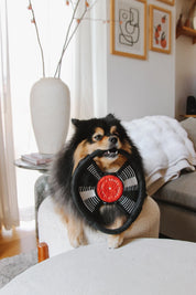 Jouet de fouille - Le vinyle