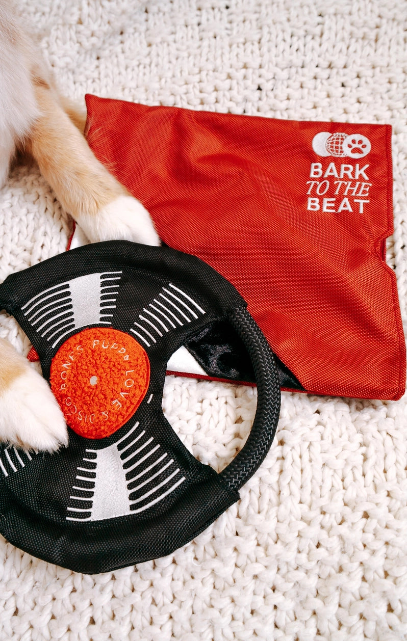 Jouet de fouille - Le vinyle