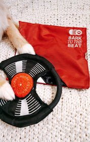 Jouet de fouille - Le vinyle