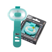 Lumière haute visibilité pour chien - Turquoise