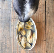 Moules vertes naturelles pour chien