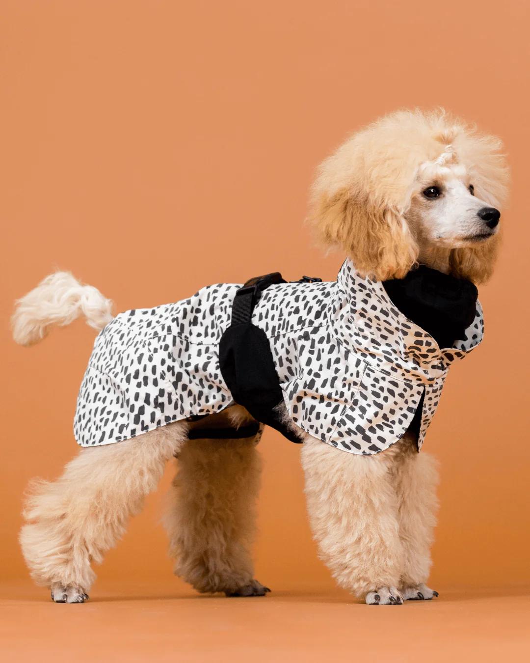 Imperméable réfléchissant pour chien - Noir et blanc tacheté