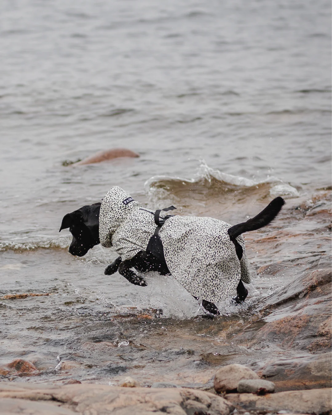 Imperméable réfléchissant pour chien - Noir et blanc tacheté