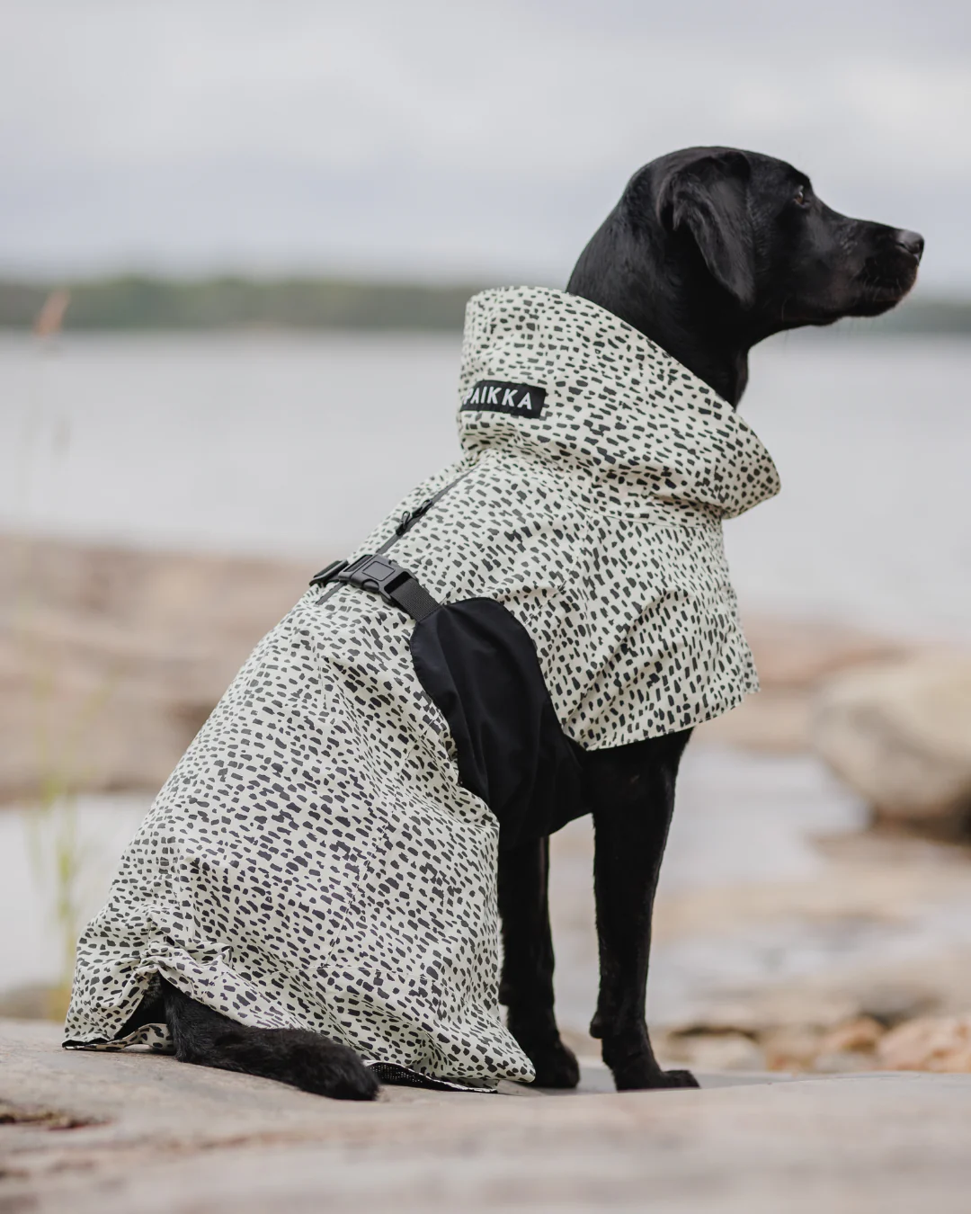 Imperméable réfléchissant pour chien - Noir et blanc tacheté