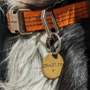 Médailles personnalisables pour chien-Médailles-Muzon