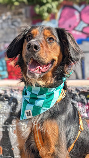 Bandana pour chien - Muzon