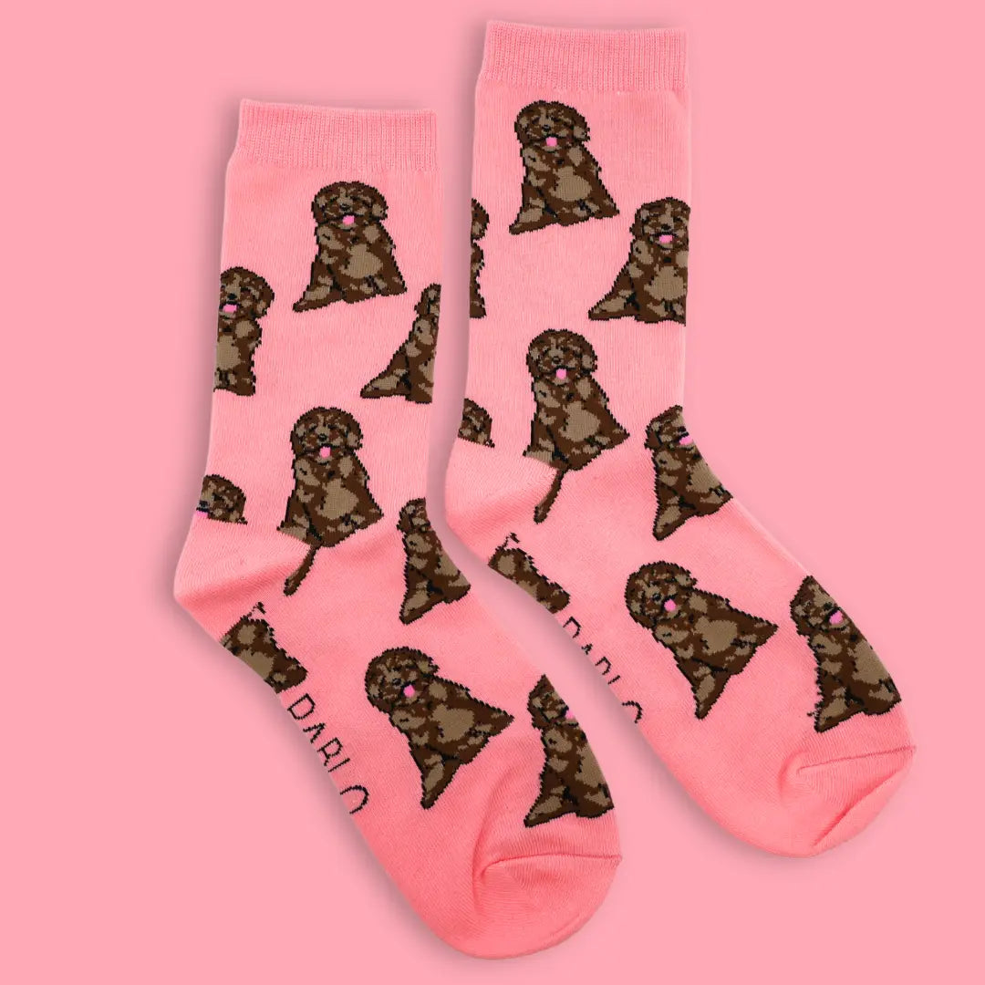 Dog Race Socks - Cockapoo