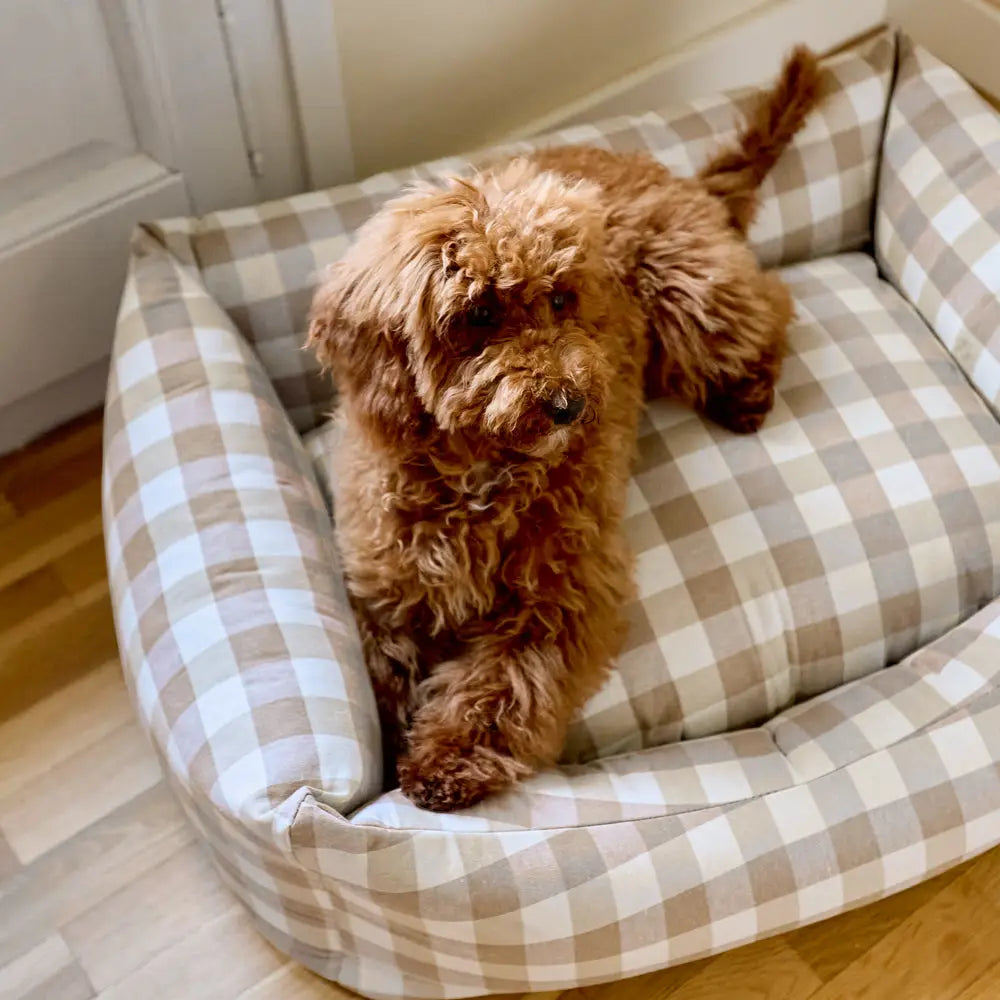 Canapé pour chien vichy - Beige
