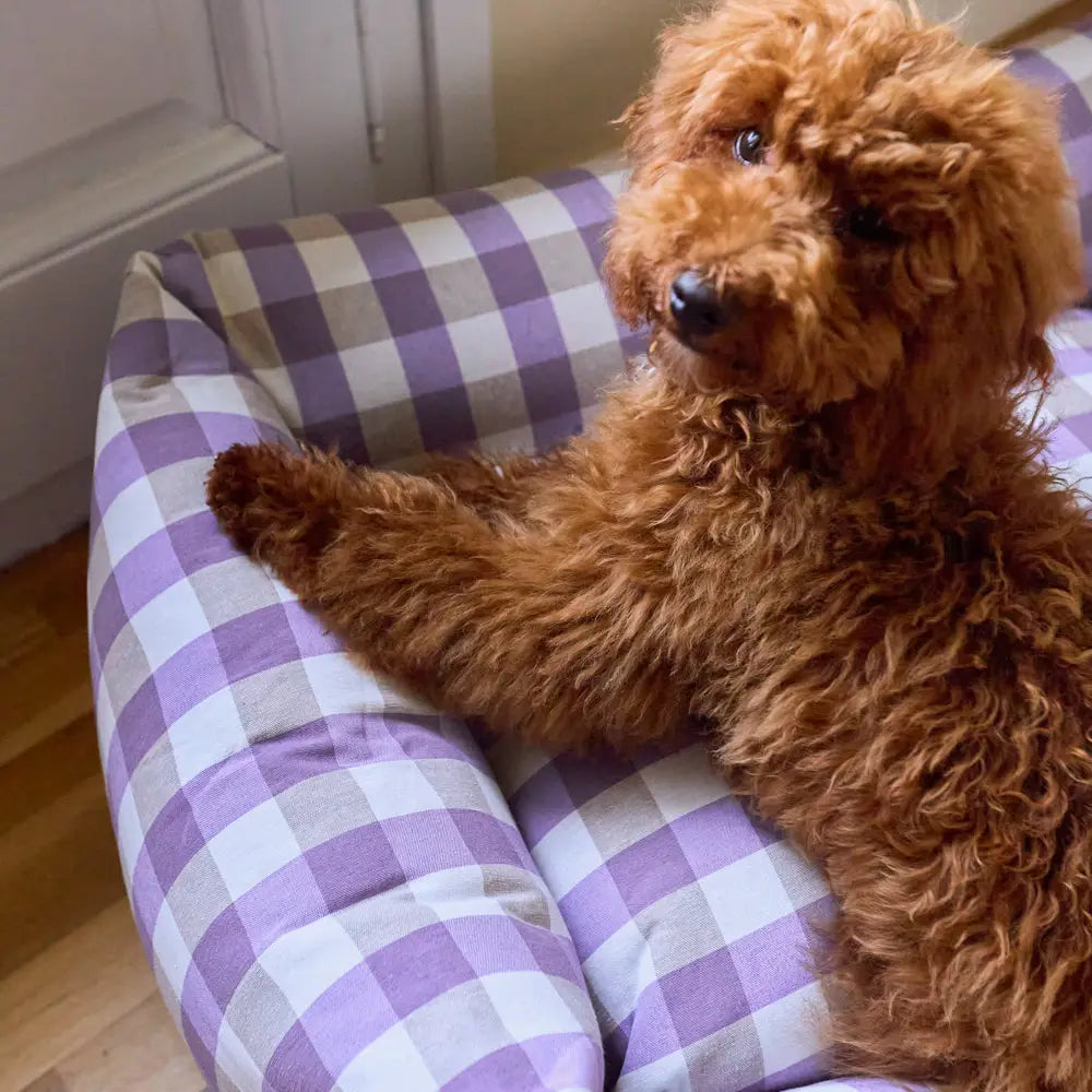 Canapé pour chien vichy - Violet