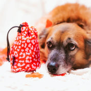 Pochette à friandises imperméable avec cordon de serrage - Léopard rouge