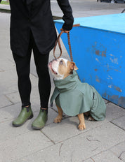 Imperméable pour chien kaki Tadazhi, vue 2