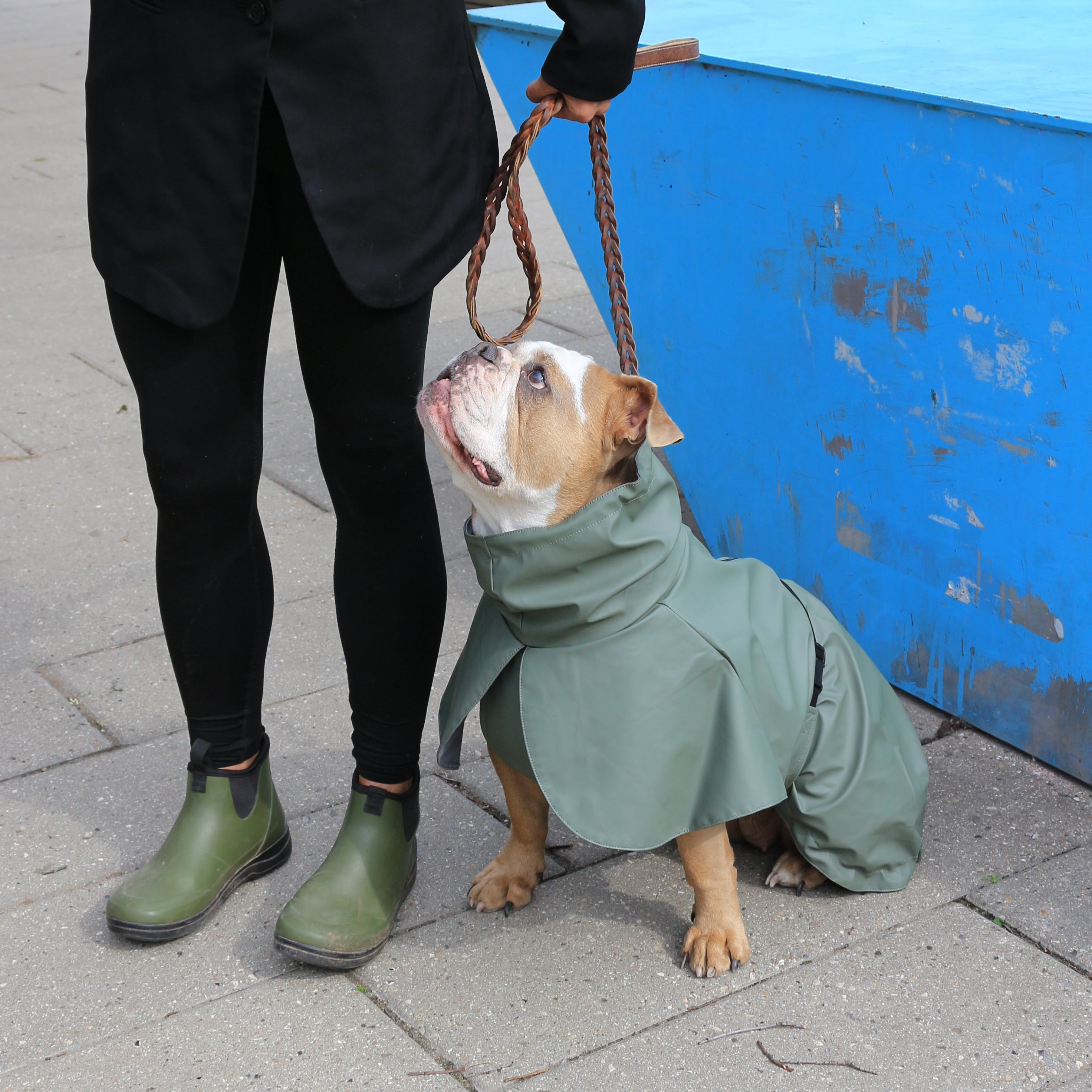 Imperméable pour chien kaki Tadazhi, vue 2