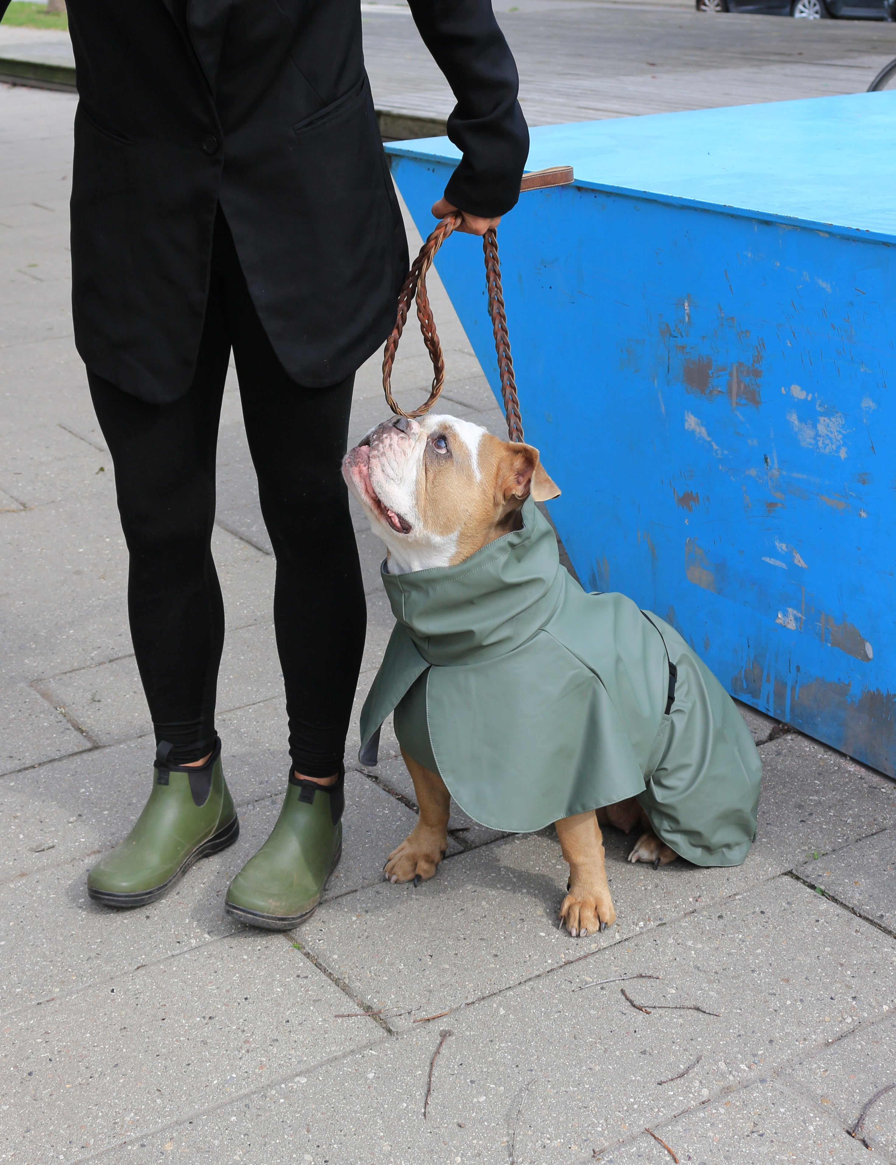 Imperméable pour chien kaki Tadazhi, vue 2