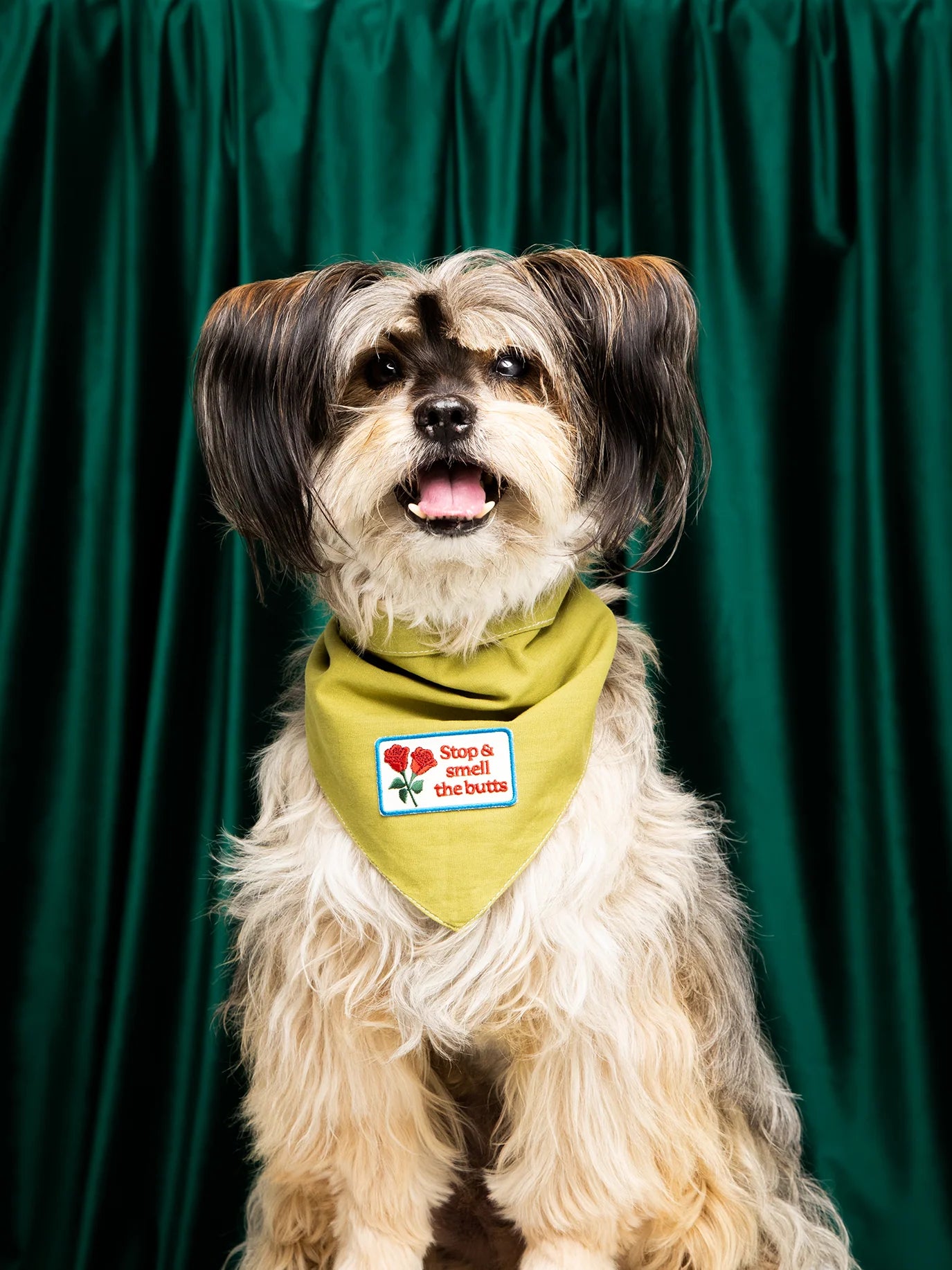 Badge thermocollant pour chien "Stop & smell the butts"