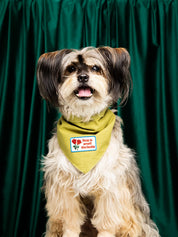 Badge thermocollant pour chien "Stop & smell the butts"