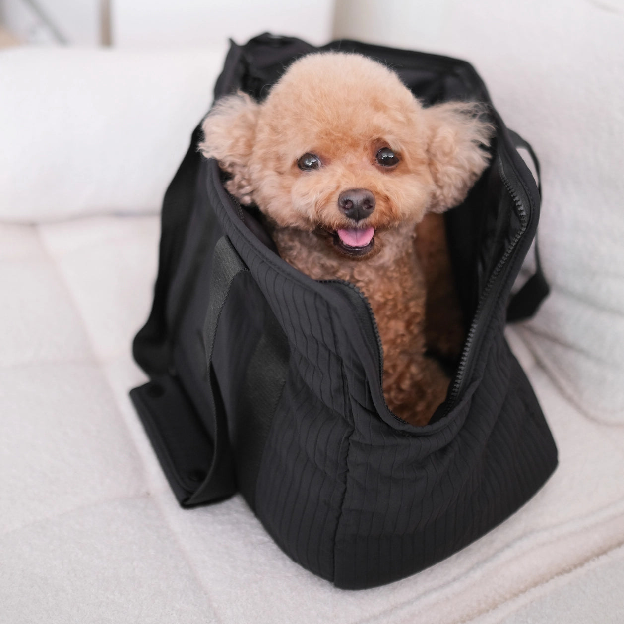 Sac de transport pour chiens - Noir