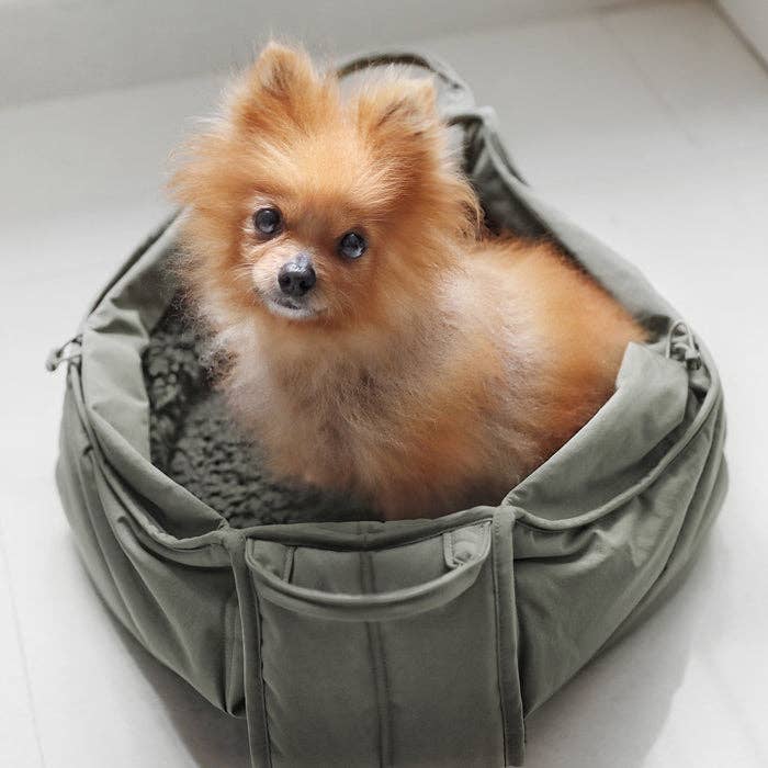 Sac de transport pour petits chiens - Kaki