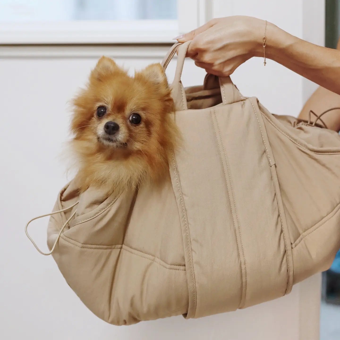 Sac de transport pour petits chiens - Crème