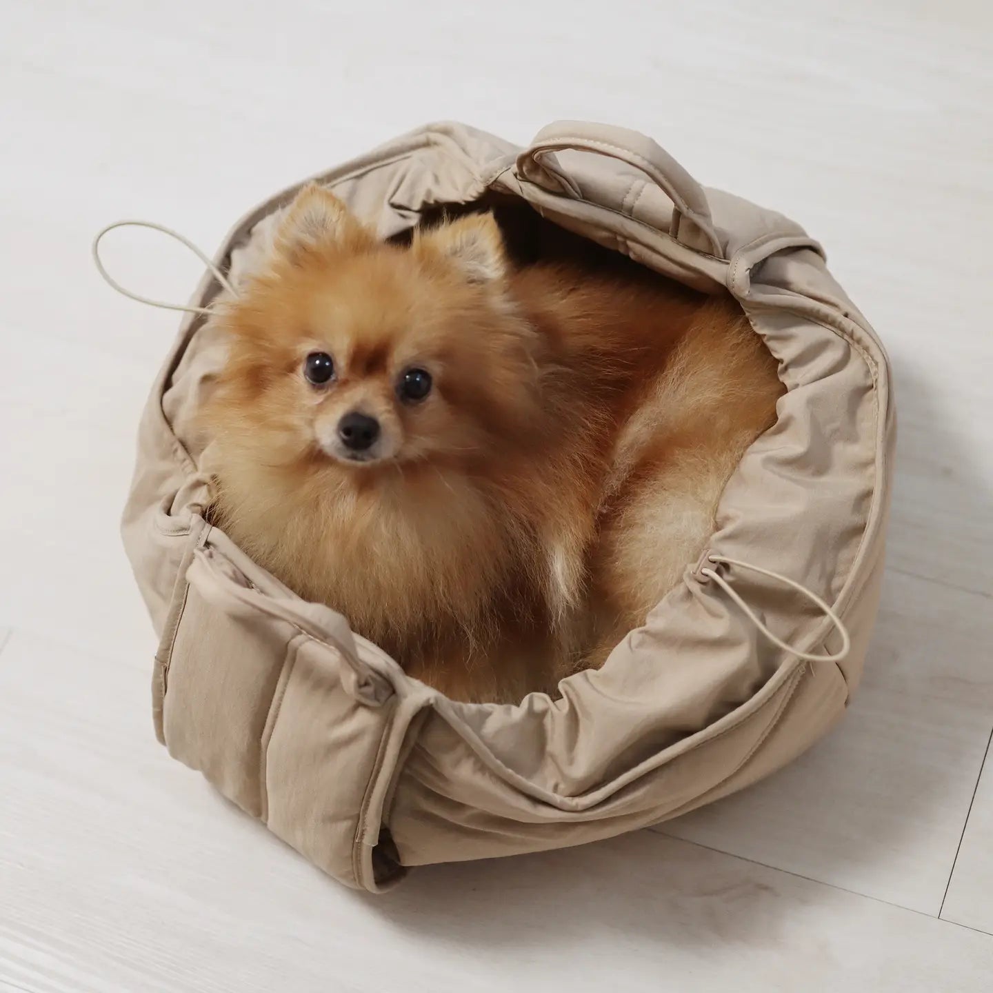 Sac de transport pour petits chiens - Crème