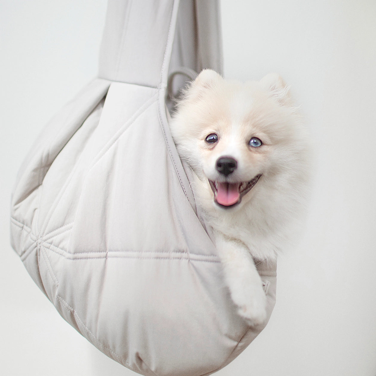 Sac de transport pour petits chiens - Crème