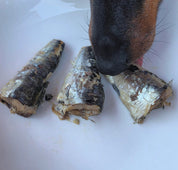 Sardines naturelles pour chien