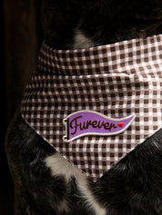 Aufbügelbarer Aufnäher für Hunde „Furever“