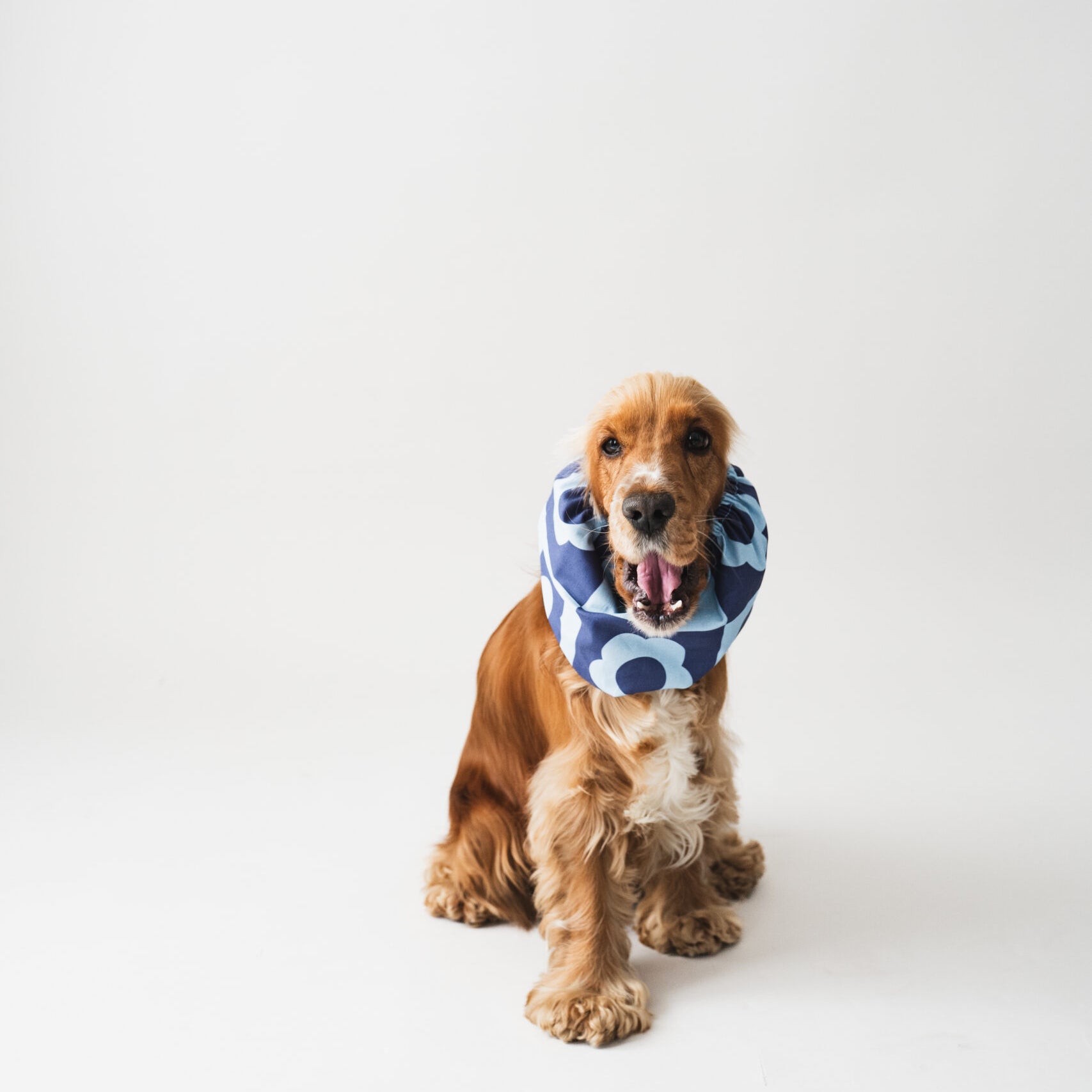 Snood-BlueFlower-LouandCo1.jpg