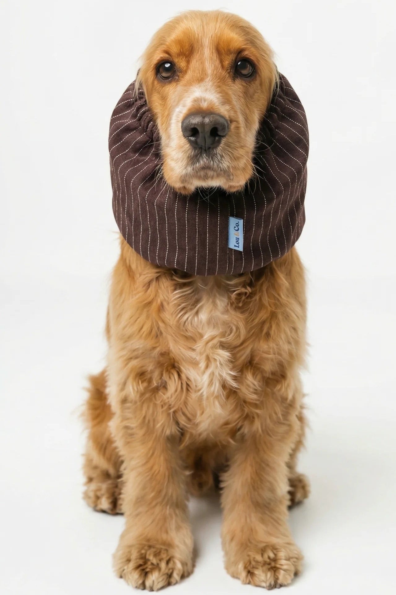 Snood - Rayures marrons
