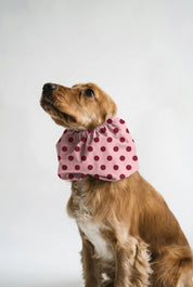 Snood – rosa Punkte