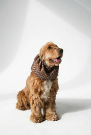 Snood - Brown dots