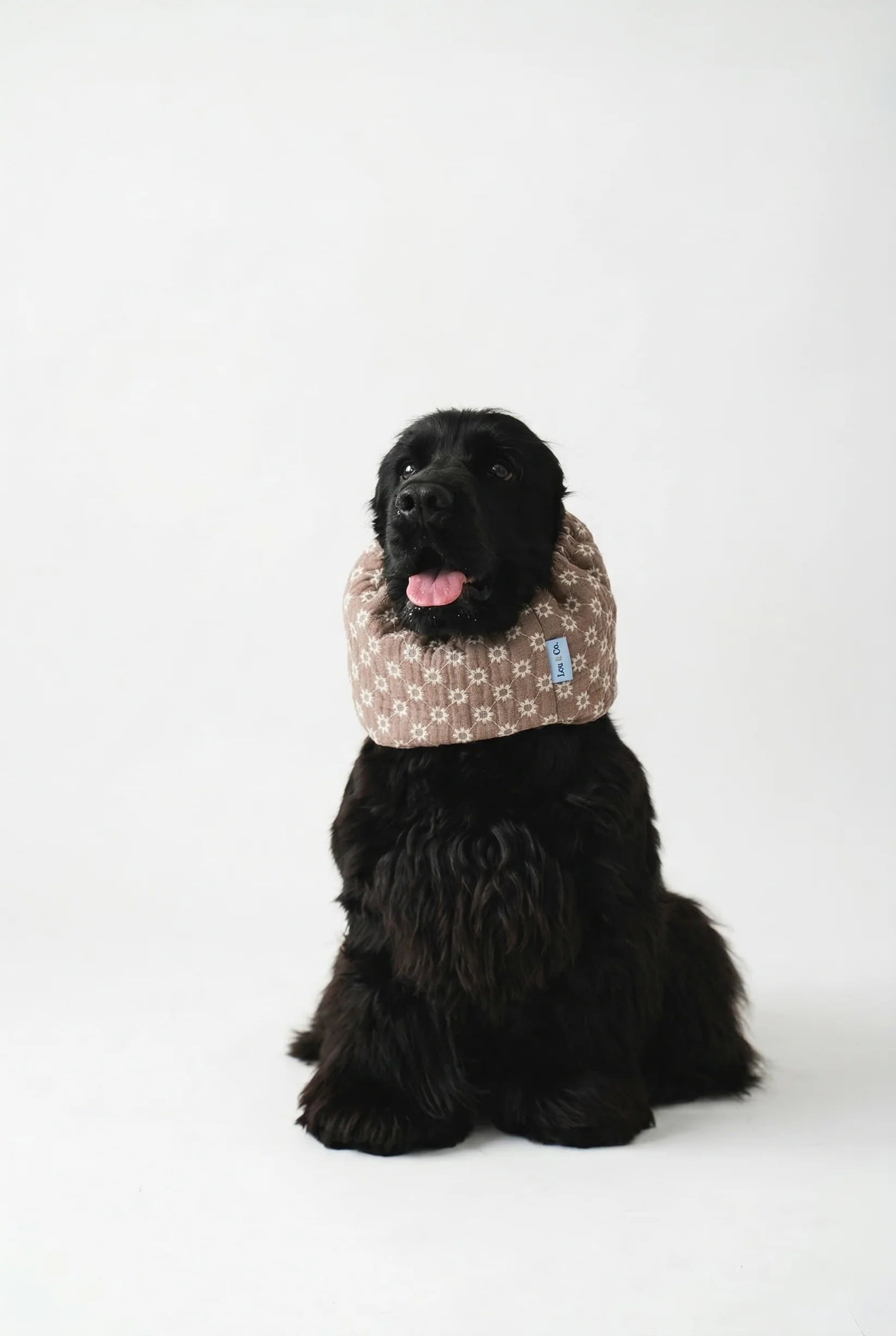 Snood – Summer Daisy